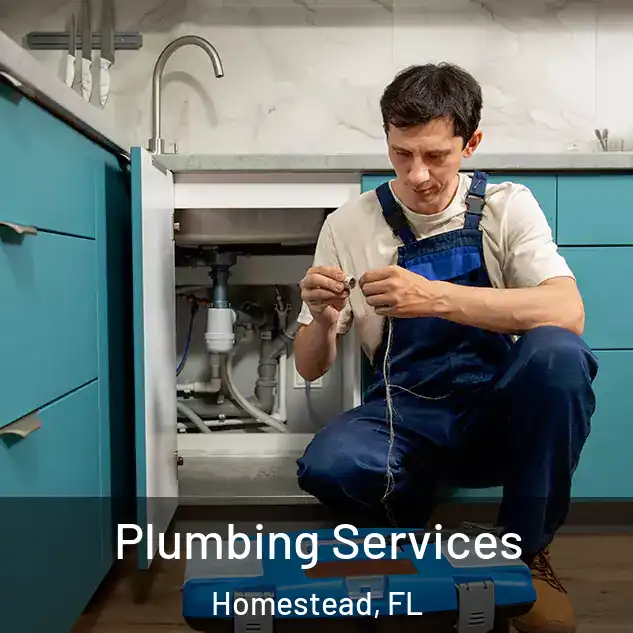  Plumbing Services Homestead, FL